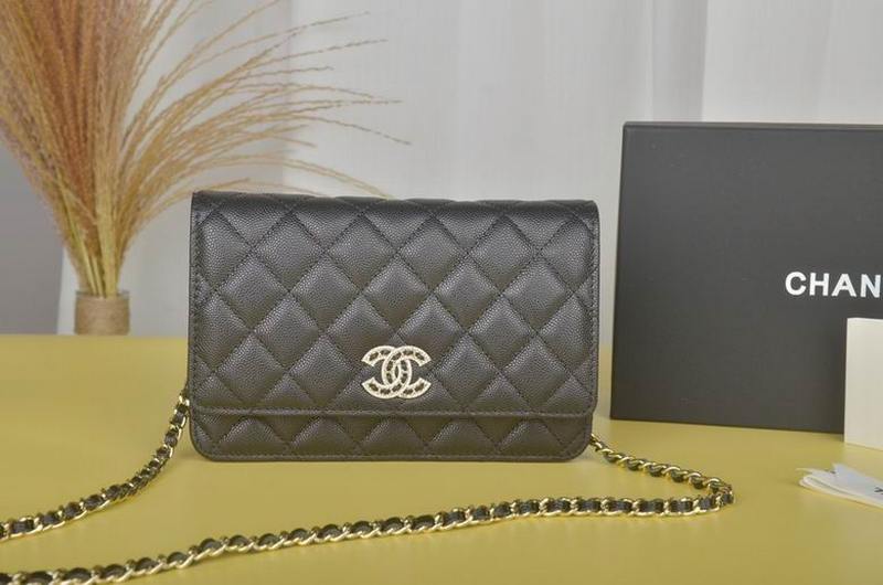 Chanel Handbags 255